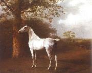 Agasse, Jacques-Laurent White Horse in Pasture oil painting reproduction